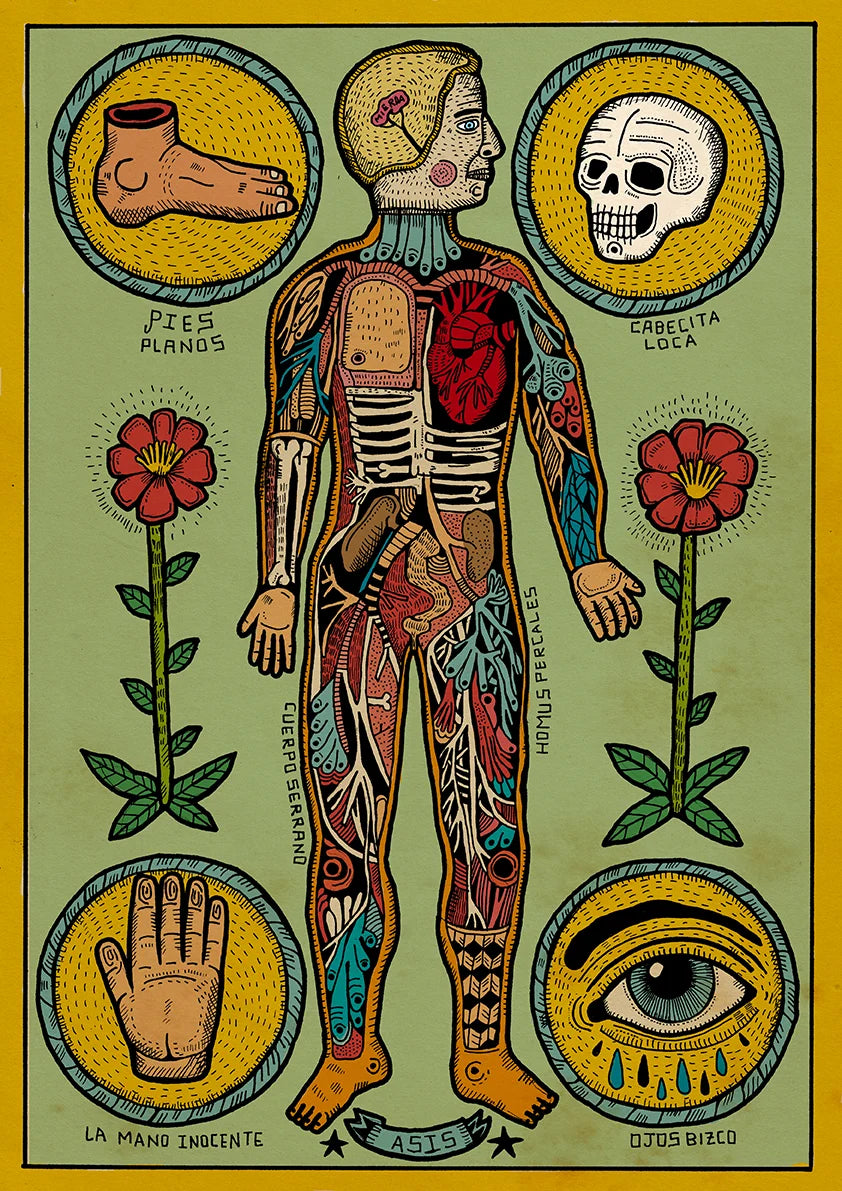 Anatomía de un cuerpo sesi