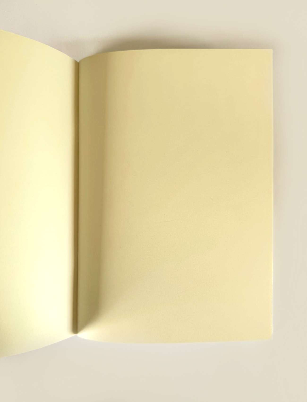 Cuaderno Shells