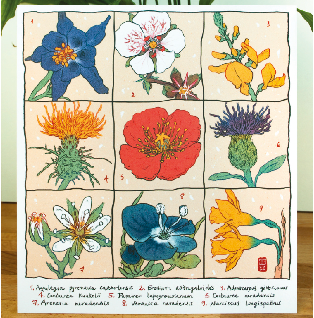 Flora en peligro de extinción en Andalucía