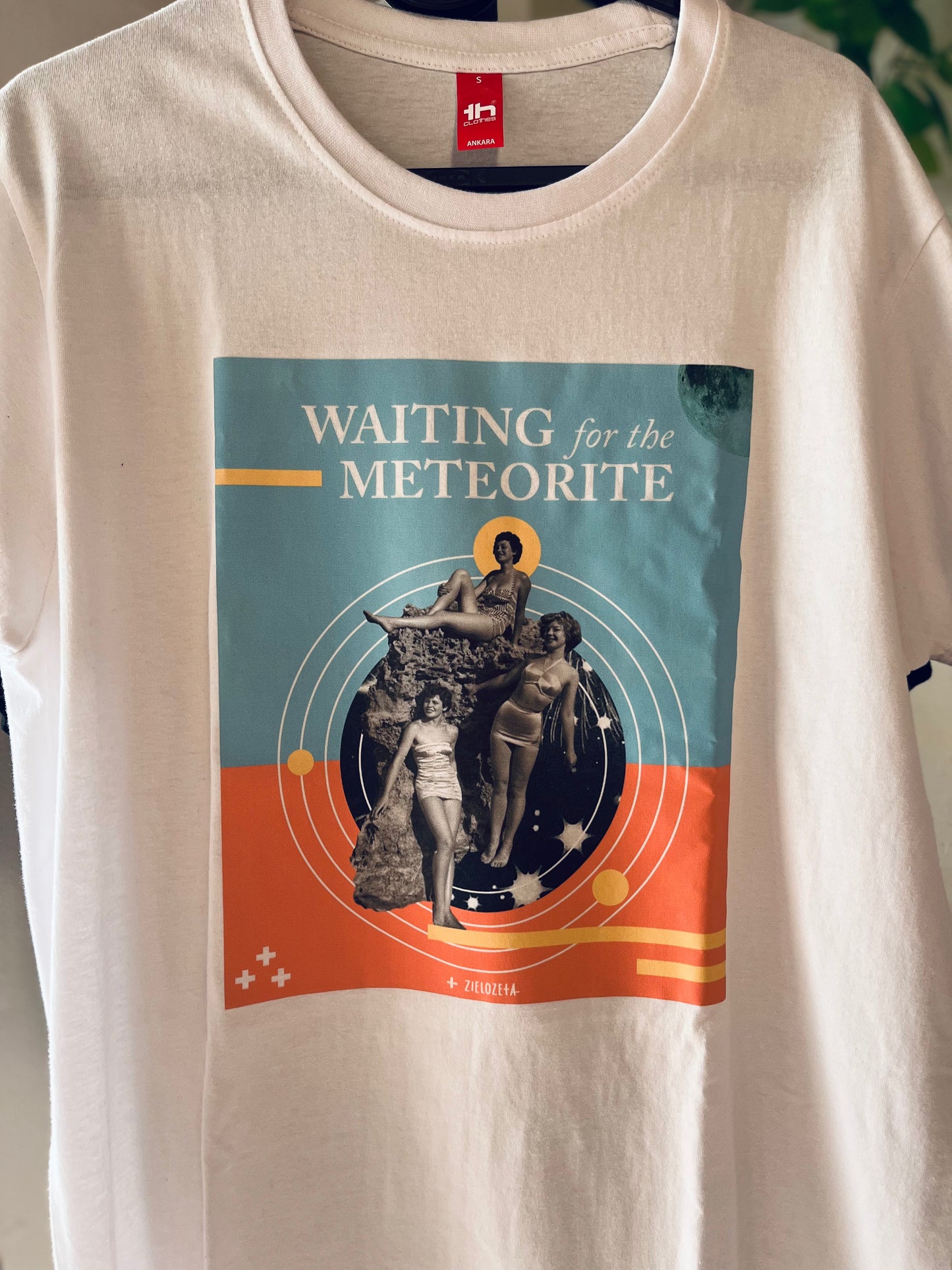 Waiting for the meteorite