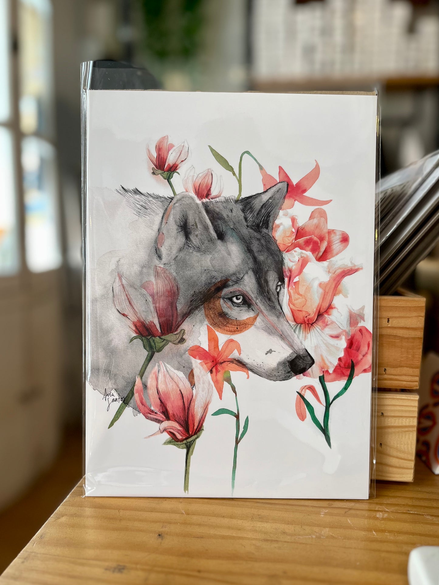 Lobo