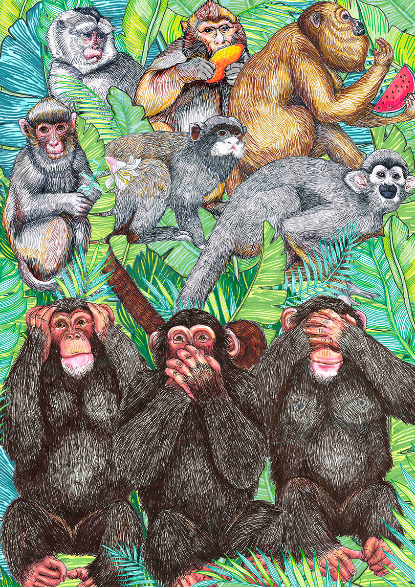 Monos en la selva