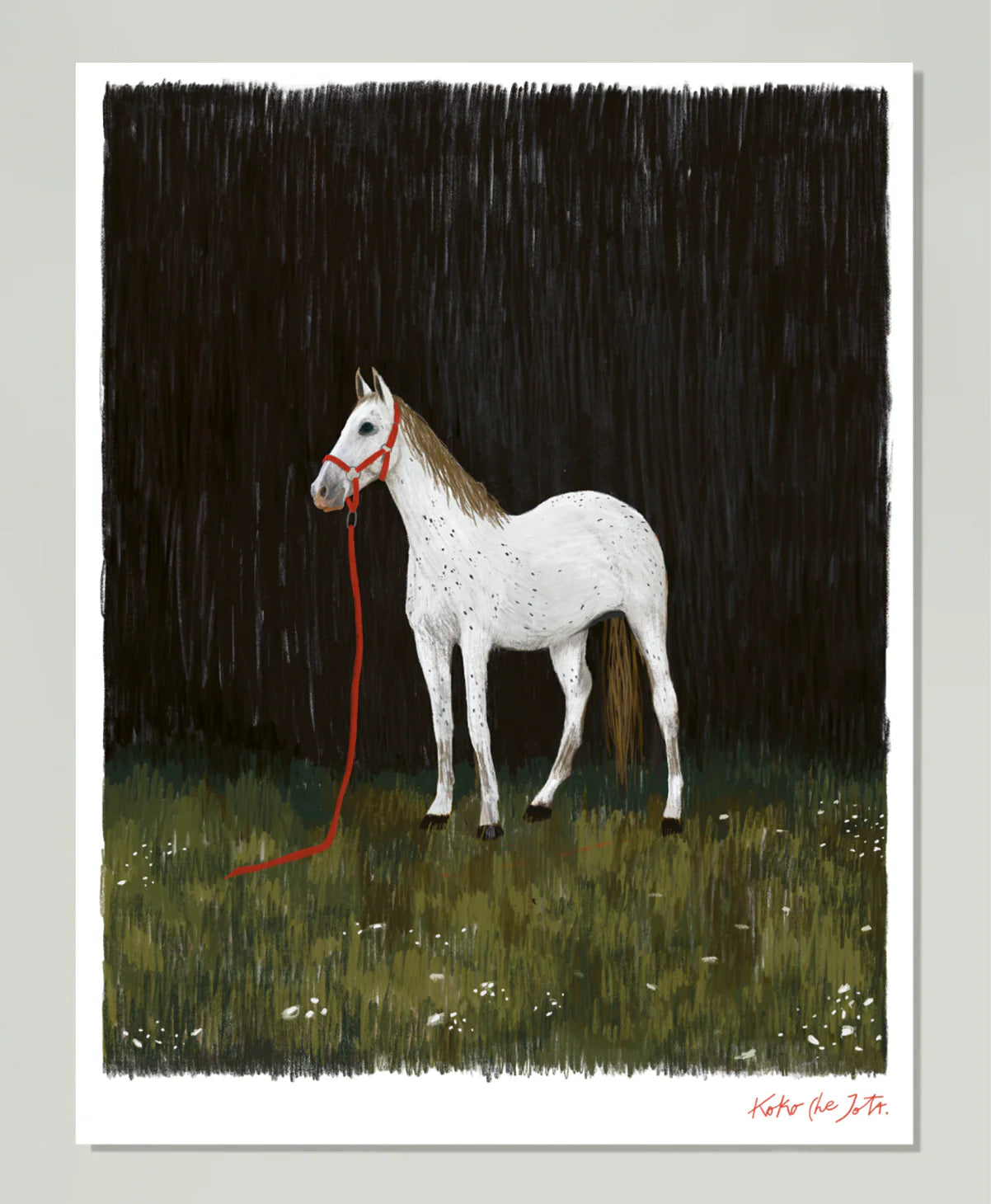 Anyone´s horse