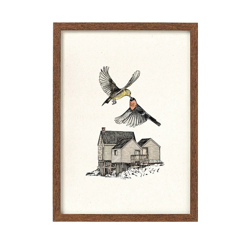 Birds