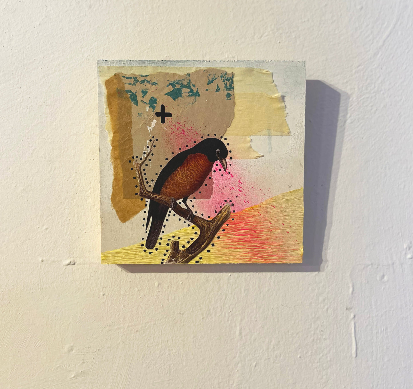 Collage pájaro