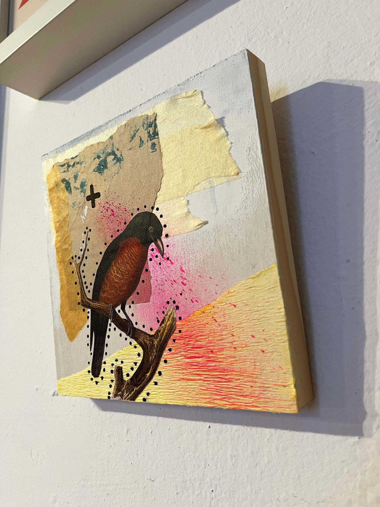 Collage pájaro