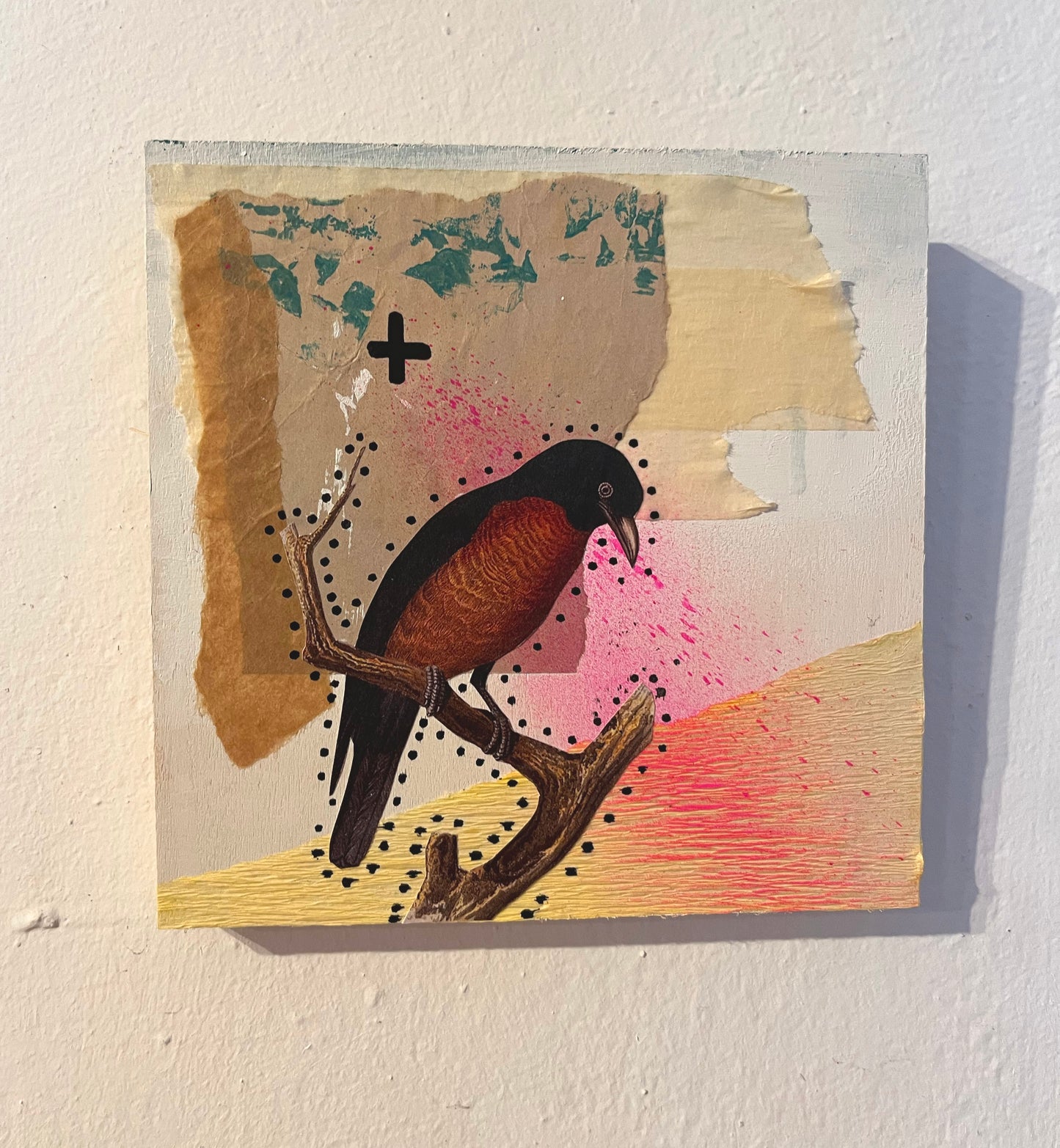 Collage pájaro