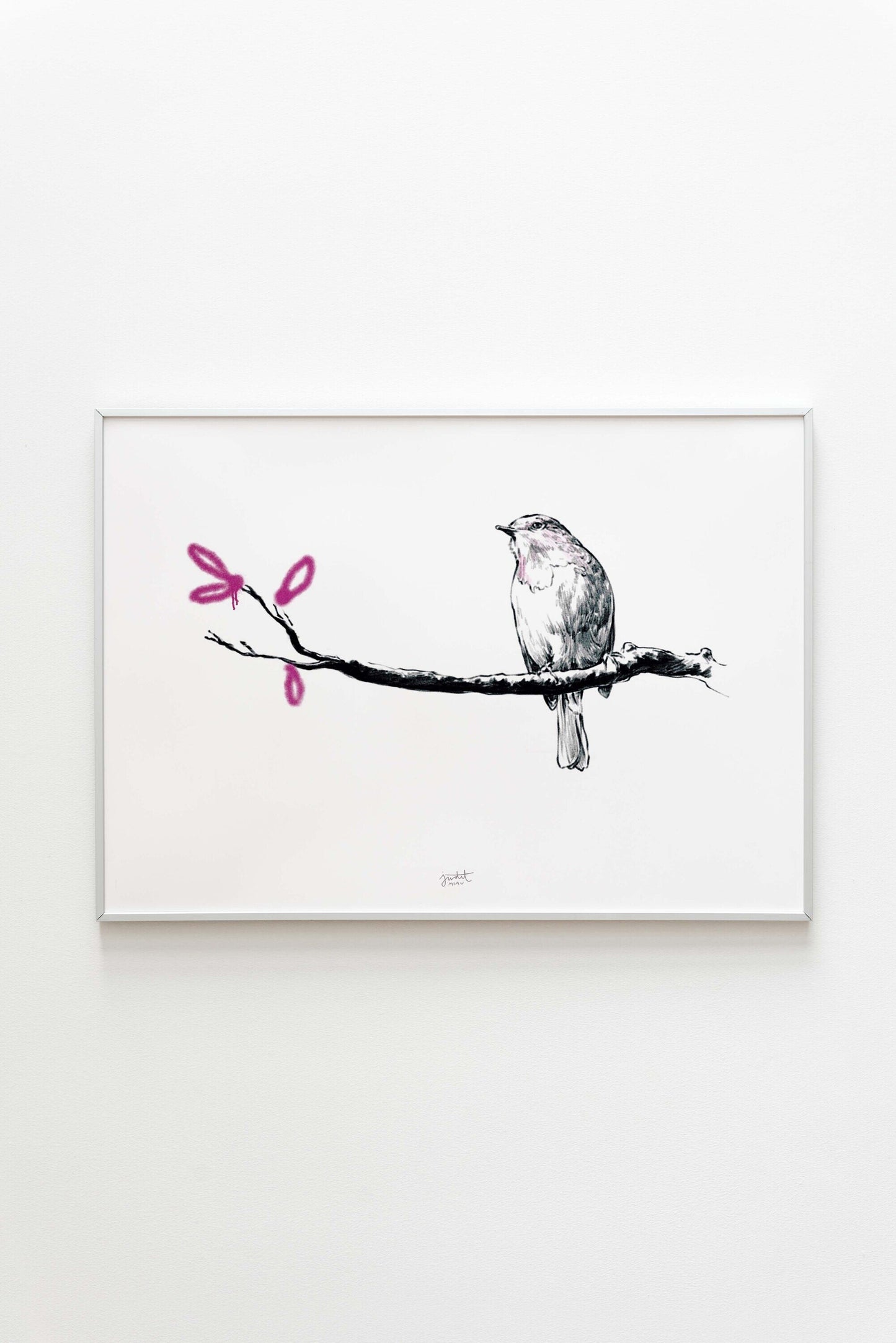 Pájaro