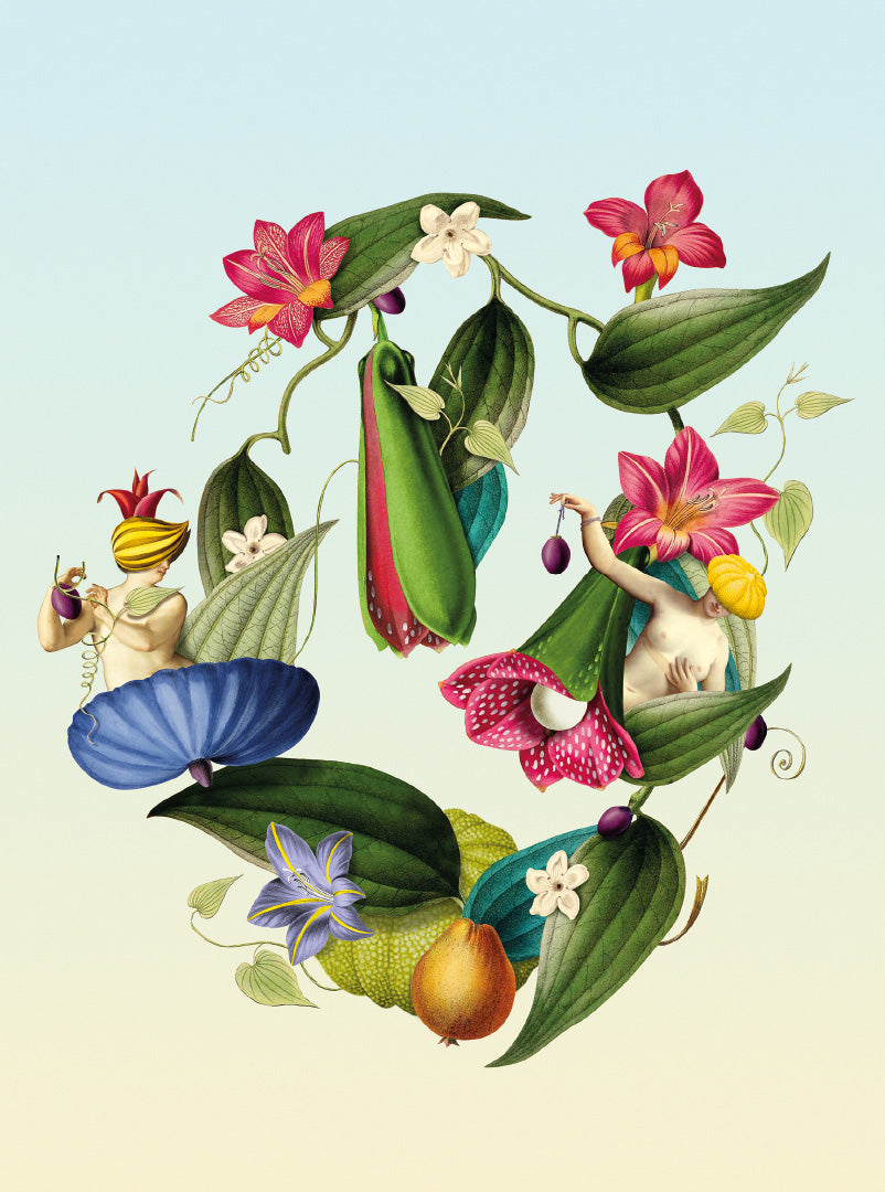 Bloom