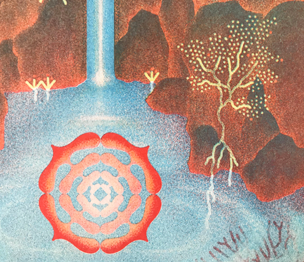 Toroide / Maximiliano