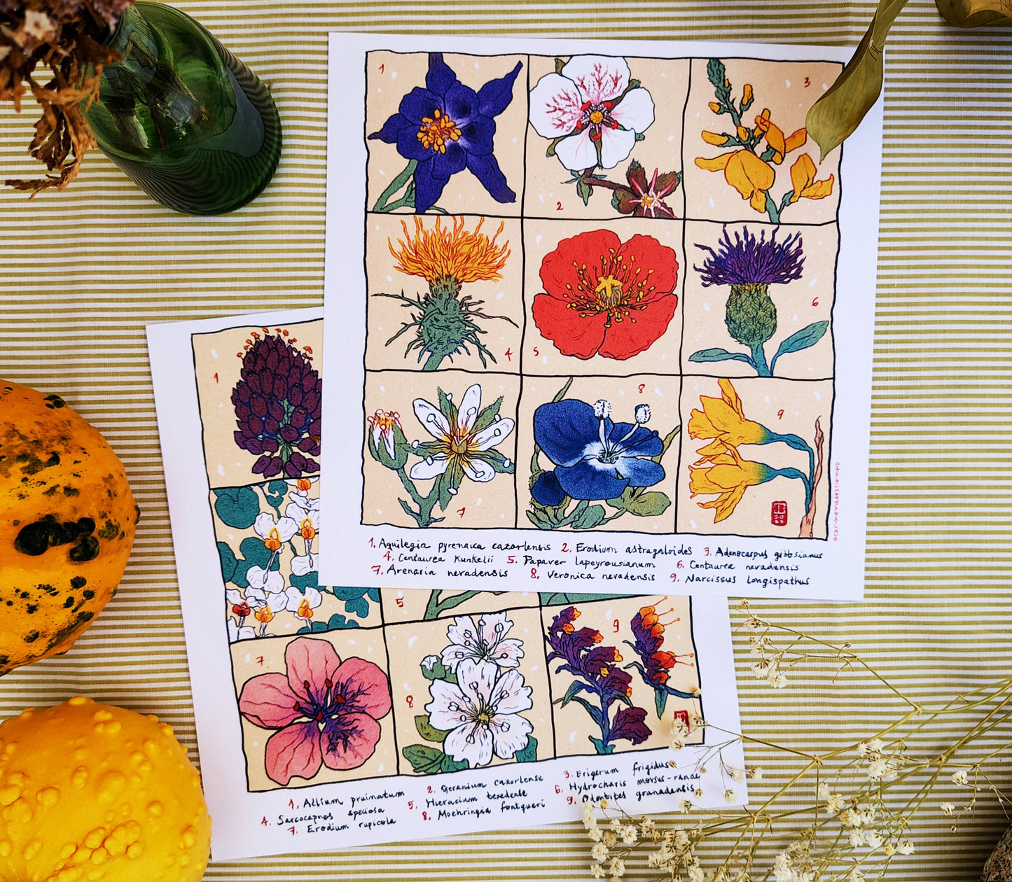 Flora en peligro de extinción en Andalucía