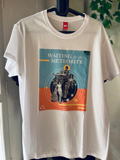 Waiting for the meteorite