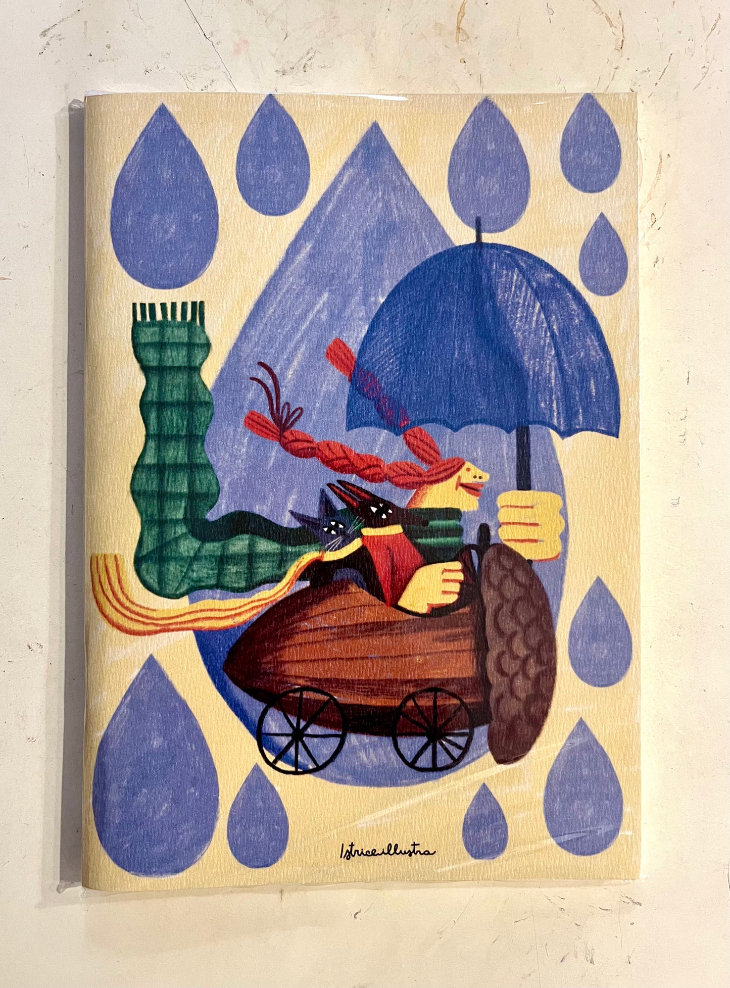 Cuaderno Lluvia