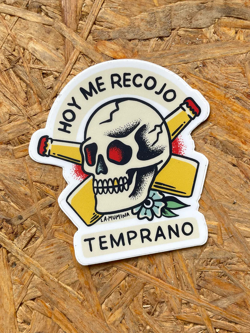 PACK STICKERS (calavera)