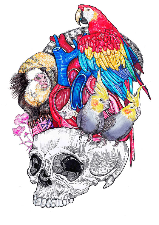 Vanitas