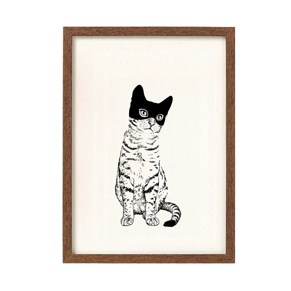 A cat