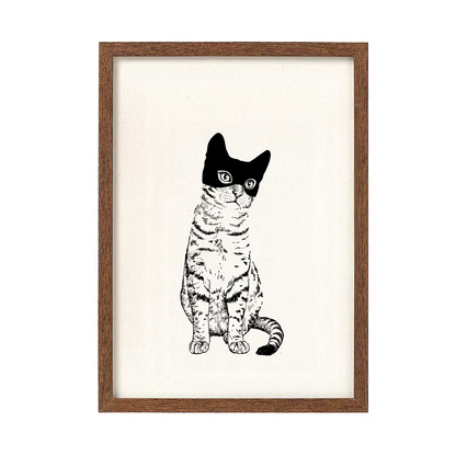 A cat