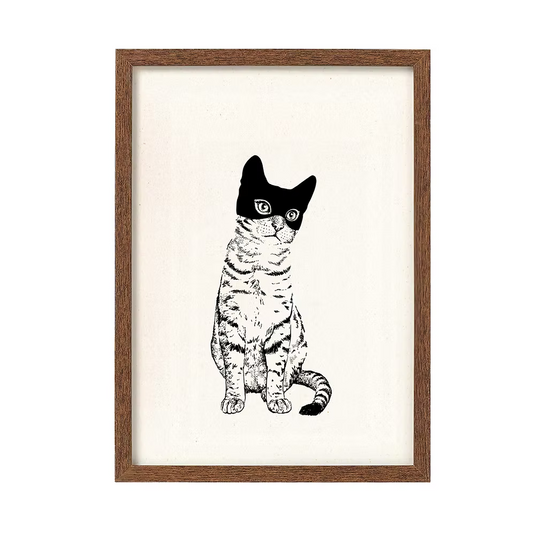 A cat