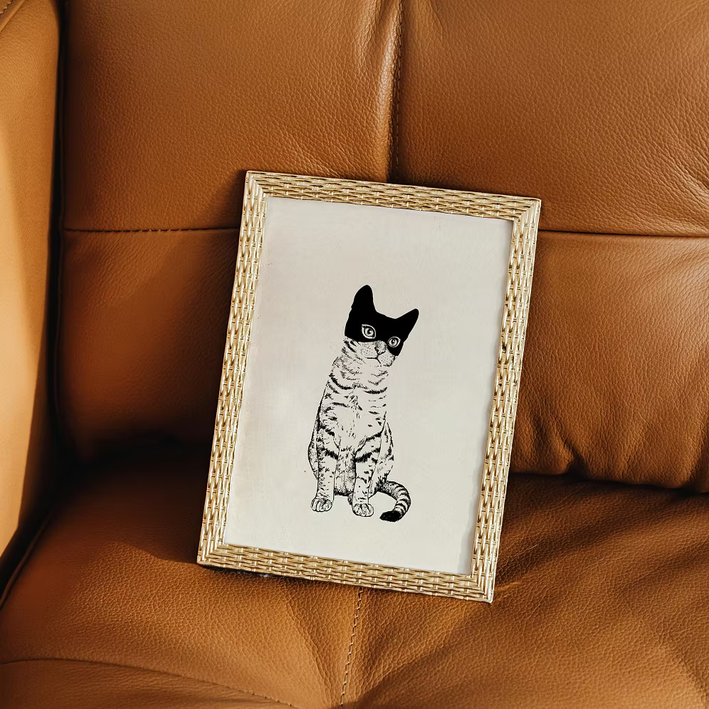 A cat