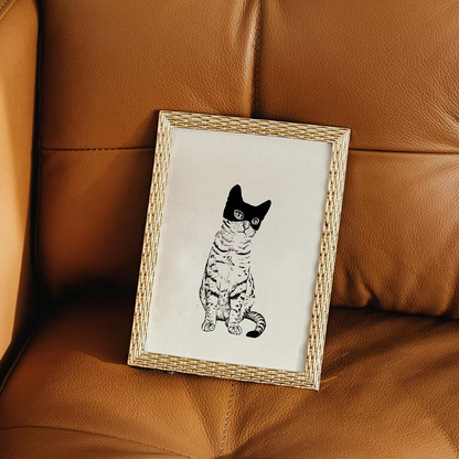 A cat