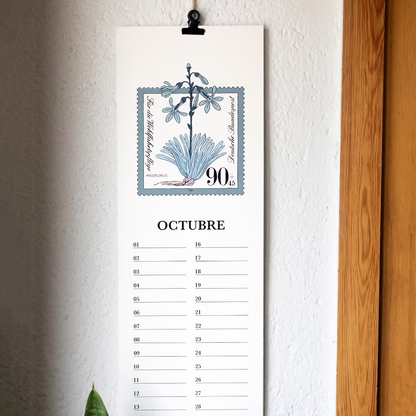 Calendario Fechas especiales´26