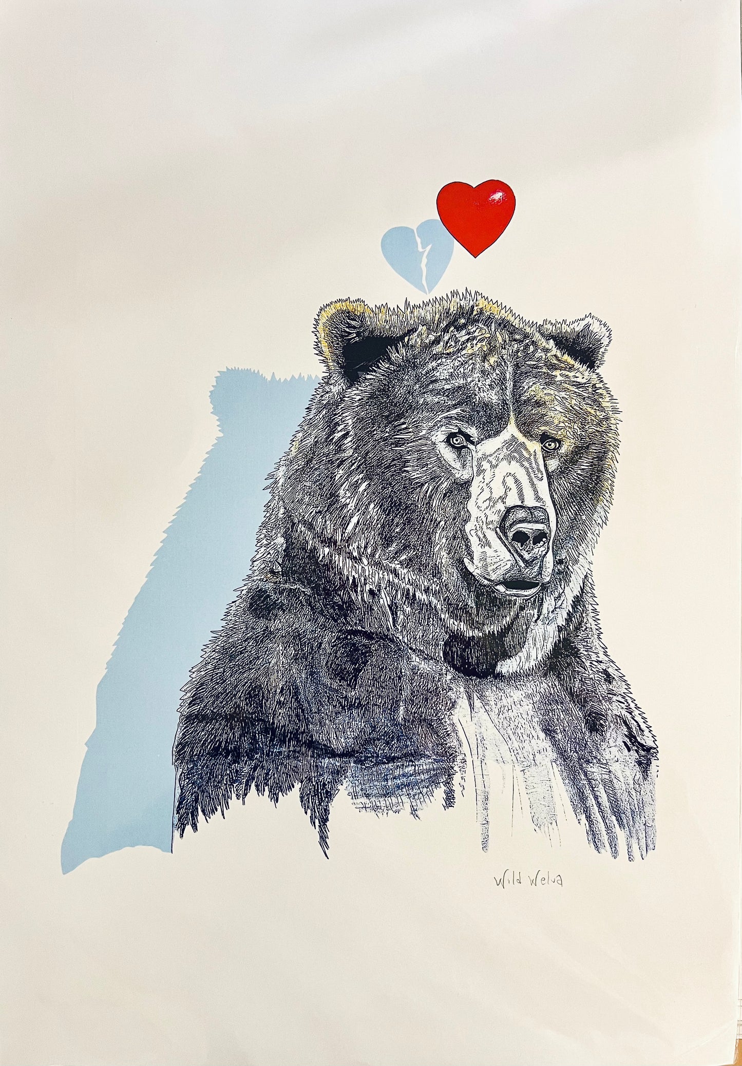 Phoenix Bear