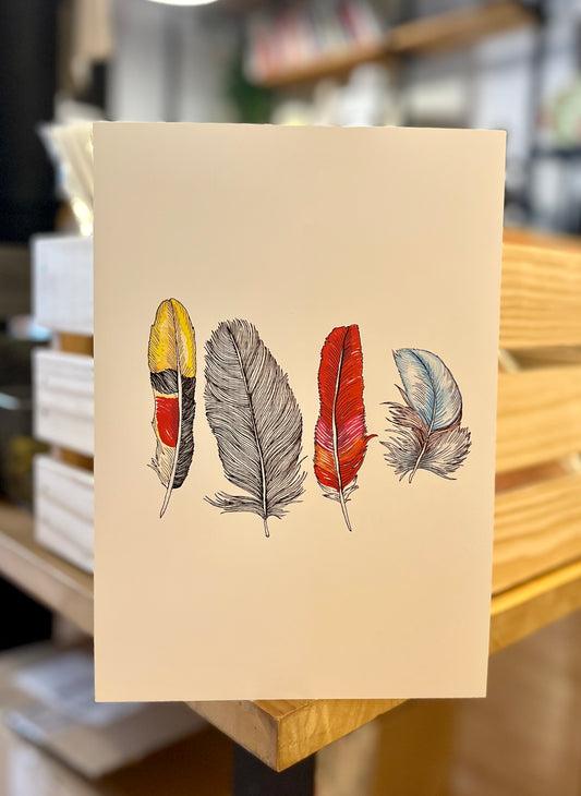 Plumas