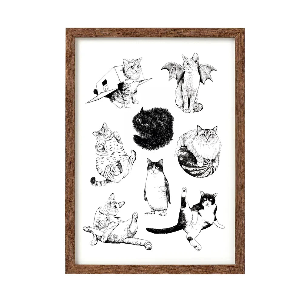 Some Cats
